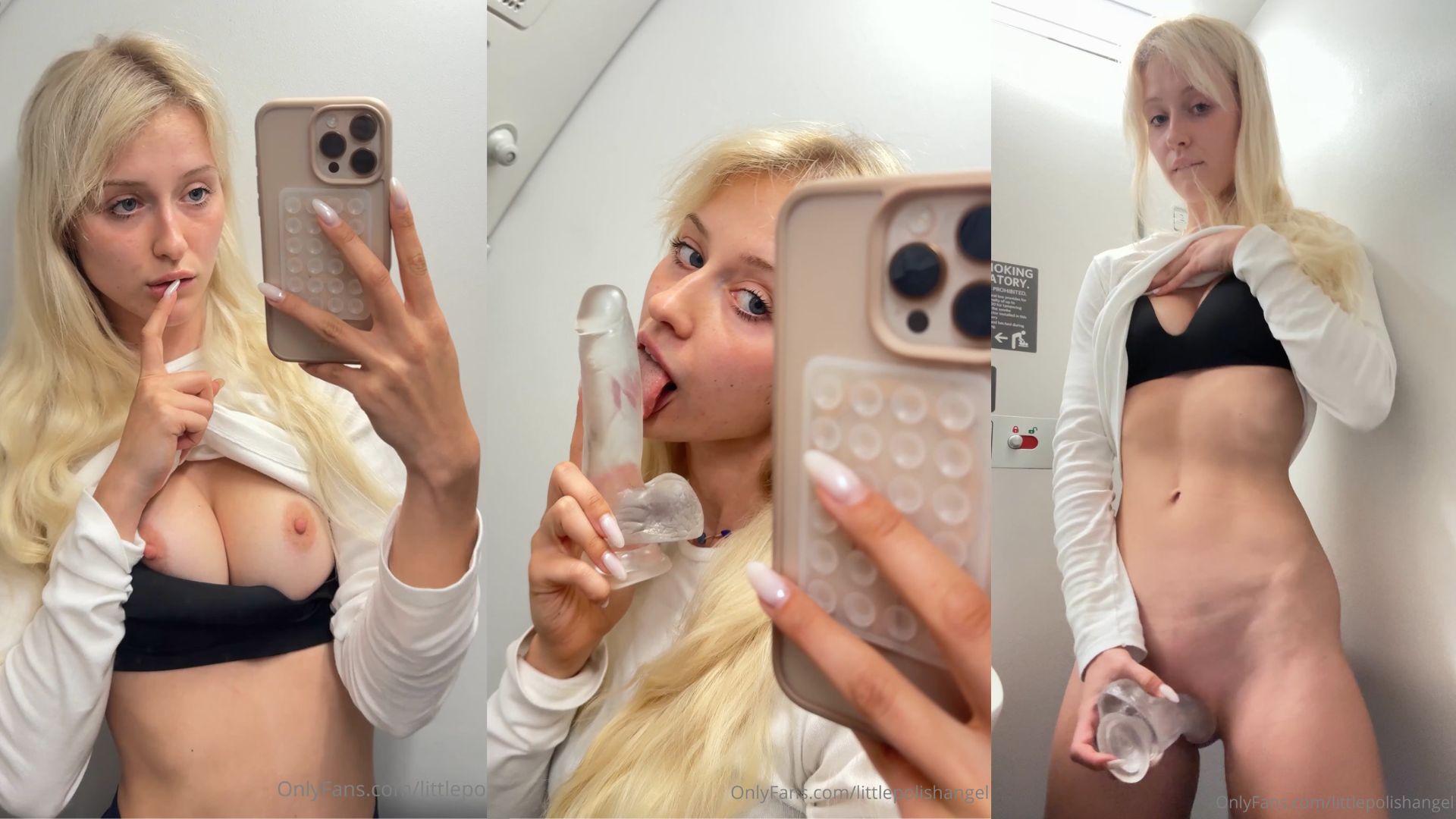 Lena Polanski Plays With A Dildo On The Airplane